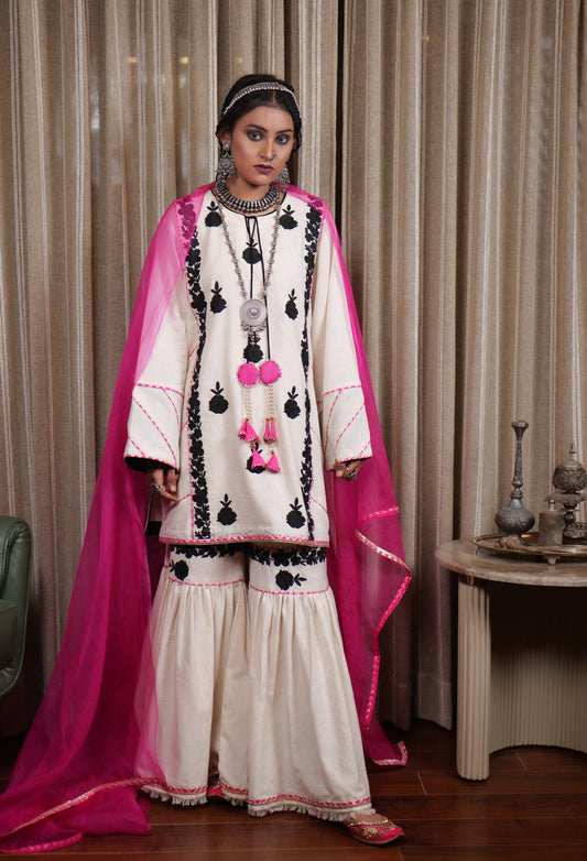 Begum Kashmiri Aari Embroidered Black & Fushia Garara Set