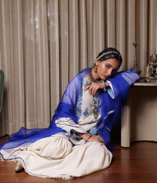 Begum Kashmiri Aari Embroidered Blue Garara Set
